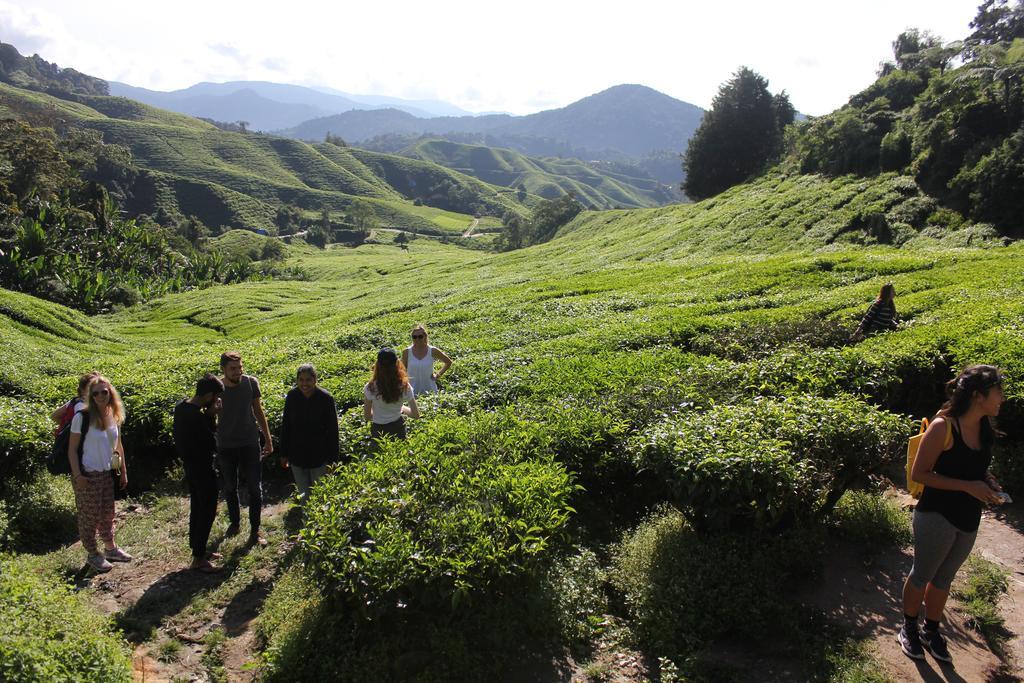 Hillview Inn Cameron Highlands Kültér fotó