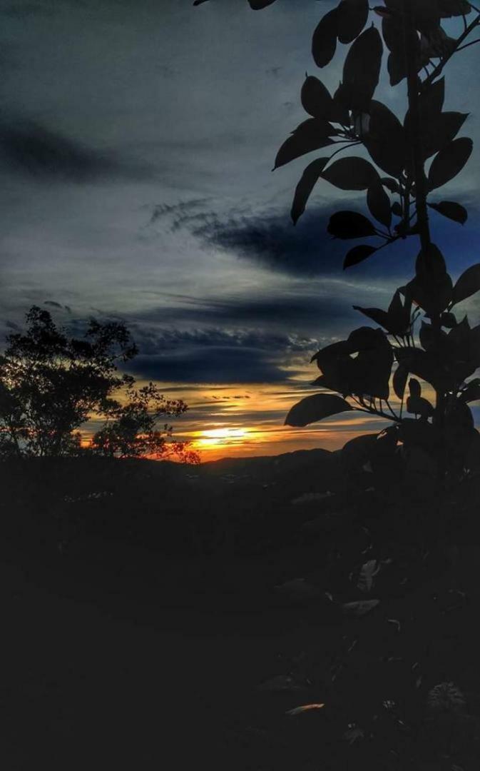Hillview Inn Cameron Highlands Kültér fotó